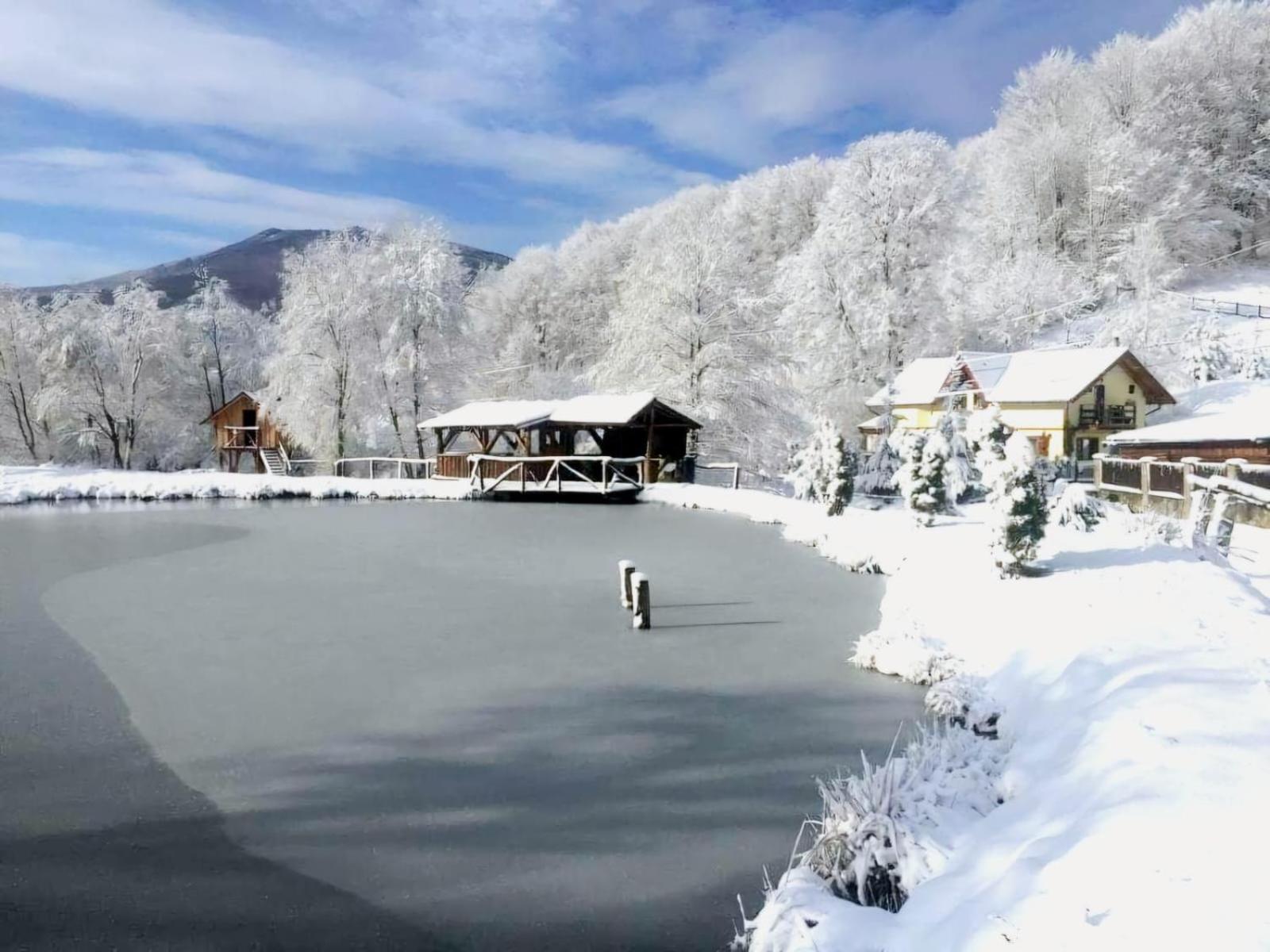 Pensiunea Cerbul - Valea Dobarlaului Luaran gambar