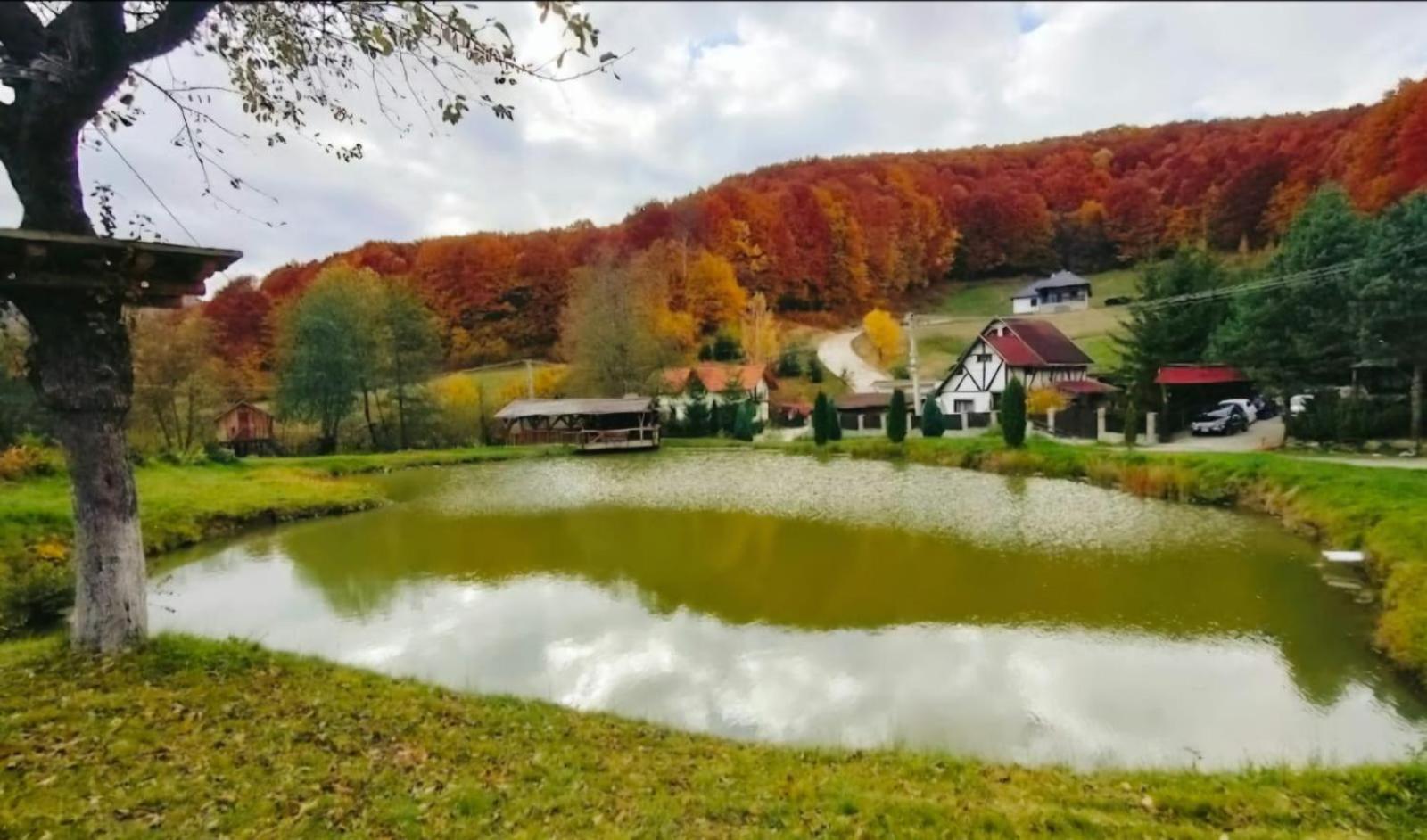 Pensiunea Cerbul - Valea Dobarlaului Luaran gambar